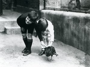 Two Young Visitors Meet a Tame Striated Caracara at London Zoo, June 1914 by Frederick William Bond